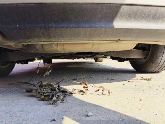 [无锡·苏B] 二手奥迪奥迪A32013款 Sportback 30 TFSI 技术型