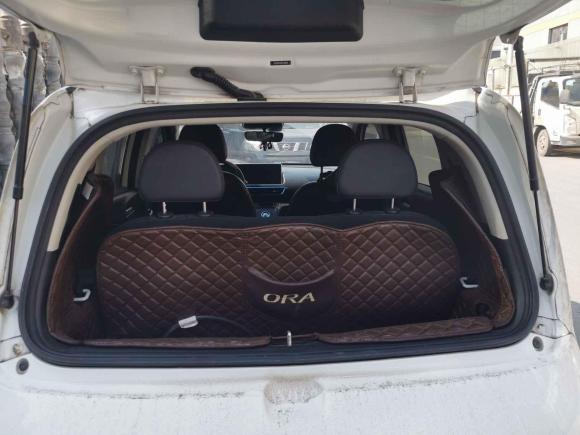 [金华·浙G] 二手欧拉欧拉白猫2020款 401km 旗舰型