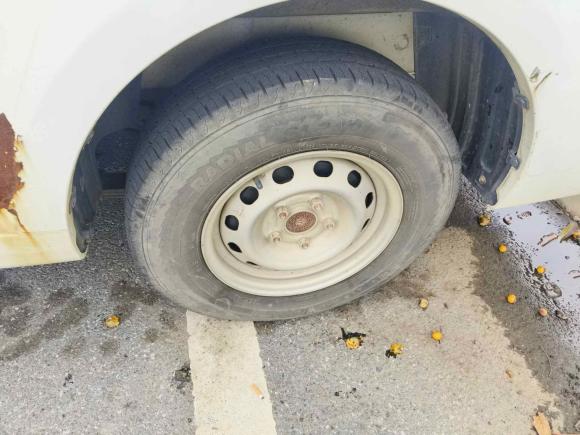 [南昌·赣A] 二手远程远程星享V2022款 星享V6E长轴宁德38.64kWh