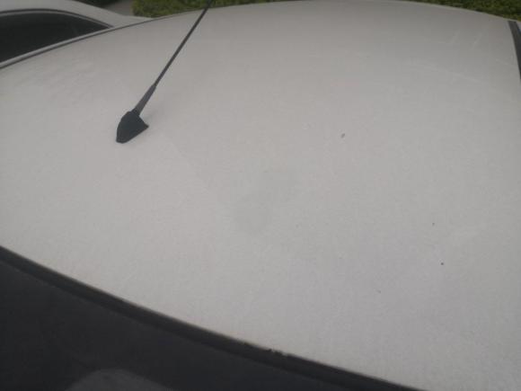 [佛山·粤T] 二手长安奔奔2015款 1.4L IMT尊贵型 国V