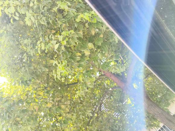 [上海·鄂A] 二手长安长安CS752017款 尚酷版 1.5T 自动锋悦型