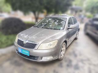 斯柯达明锐2013款 1.6L 自动逸俊版