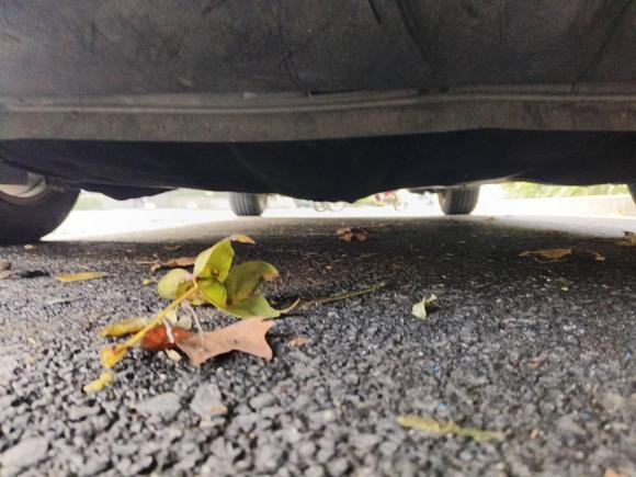 [嘉兴·浙F] 二手福特福克斯2012款 两厢 1.6L 自动舒适型