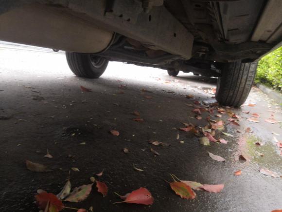 [嘉兴·浙D] 二手北京北京BJ402019款 2.3T 自动四驱城市猎人版尊享型 国VI