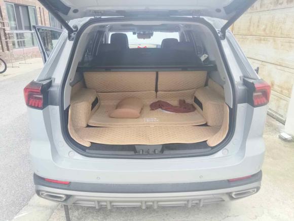 [南京·苏A] 二手奇瑞瑞虎8 PRO2022款 290T 两驱风暴版 5座