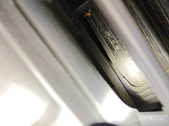 [南昌·赣A] 二手别克别克GL82017款 ES 28T 尊享型 国V