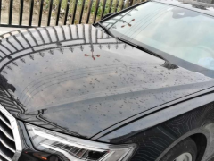 [南通·苏F] 奥迪奥迪A6L2021款 45 TFSI quattro 臻选致雅型