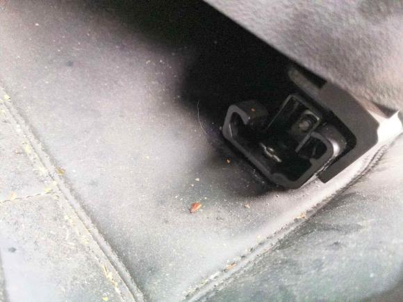 [湖州·豫D] 二手雪佛兰迈锐宝2018款 530T 自动风尚版