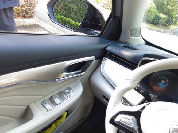 [上海·沪A] 二手飞凡汽车飞凡MARVEL R2021款 后驱PRO版