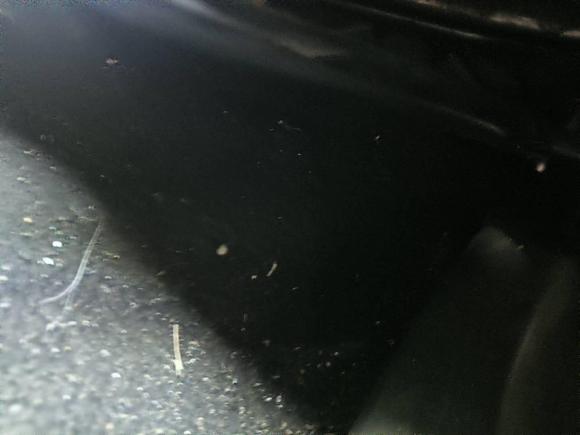 [青岛·鲁B] 二手本田凌派2013款 1.8L 自动豪华版