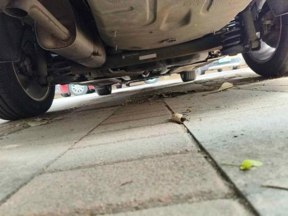 [青岛·鲁B] 二手雪铁龙世嘉2014款 VTS版 1.6L 自动品尚型