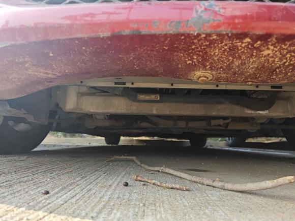 [广州·粤A] 二手宝马宝马3系2010款 320i时尚型