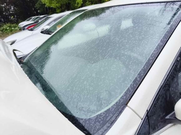 [上海·沪C] 二手日产轩逸2019款 经典 1.6XE CVT舒适版