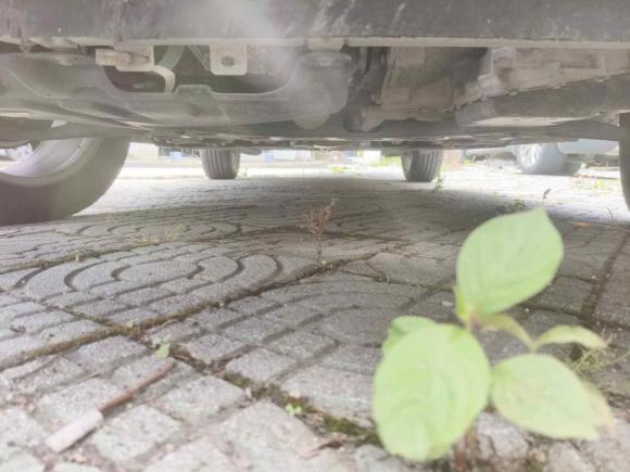 [宁波·浙B] 二手宝骏宝骏RM-52019款 1.5T CVT 24小时在线尊贵型 5座