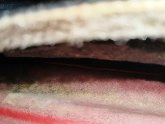 [合肥·皖A] 二手马自达睿翼2009款 2.5L 自动至尊版