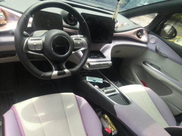 [嘉兴·浙F] 二手比亚迪海豚2021款 405km 时尚版