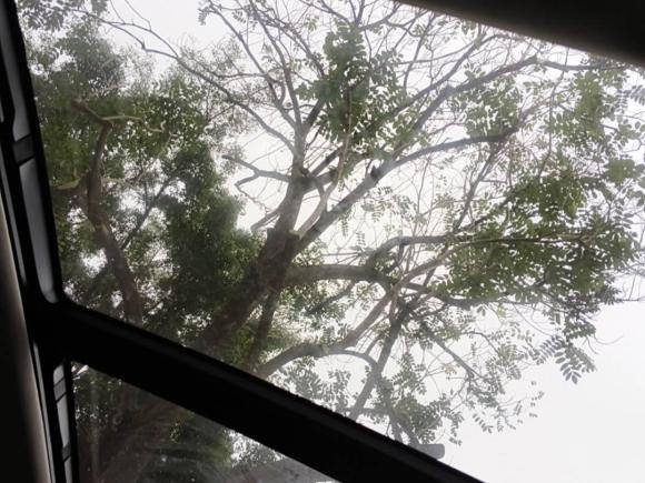 [深圳·粤B] 二手本田英仕派2019款 260TURBO 精致版 国VI