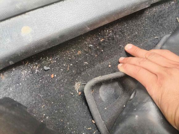 [嘉兴·川Y] 二手福特福克斯2015款 三厢 EcoBoost 180 自动精英型