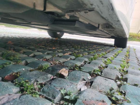 [嘉兴·浙F] 二手丰田卡罗拉2021款 双擎 1.8L E-CVT精英版