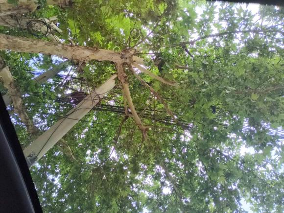 [西安·宁D] 二手长安长安UNI-T2020款 1.5T 旗舰型