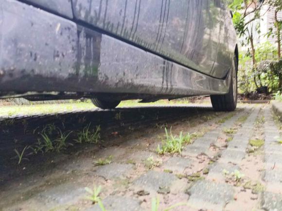 [苏州·苏E] 二手马自达睿翼2010款 轿跑 2.5L 自动至尊版