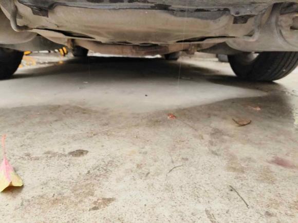 [温州·浙C] 二手马自达睿翼2010款 2.0L 自动豪华版