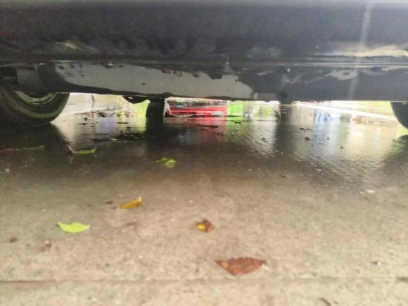 [嘉兴·浙F] 二手本田思域2016款 220TURBO CVT豪华版