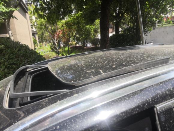 [常州·苏D] 二手沃尔沃沃尔沃XC902021款 B6 智雅豪华版 7座