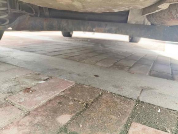 [青岛·鲁B] 二手福特嘉年华2013款 两厢 1.5L 自动时尚型