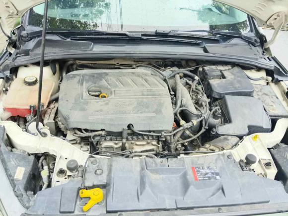 [温州·浙C] 二手福特福克斯2015款 两厢 EcoBoost 180 自动精英型