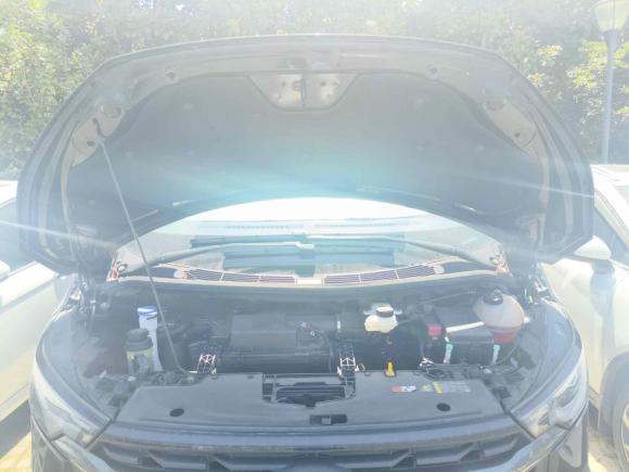 [杭州·浙F] 二手福特全顺2023款 2.0T柴油自动多功能商用车短轴低顶5/6座