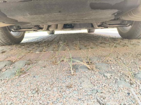 [青岛·鲁U] 二手奥迪奥迪A82021款 A8L 50 TFSI quattro 舒适型