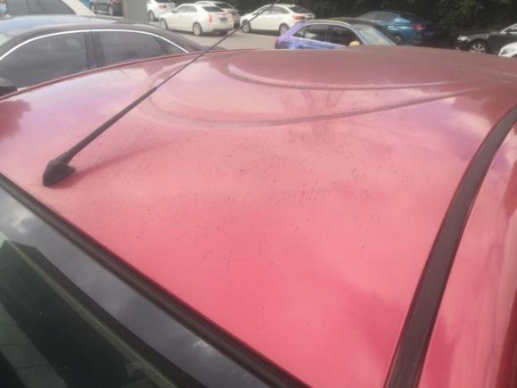 [无锡·苏B] 二手日产玛驰2010款 1.5L 手动易型版