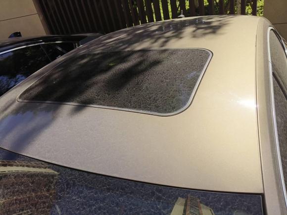 [湖州·川S] 二手大众帕萨特2016款 330TSI DSG御尊版