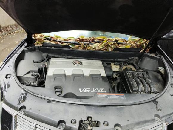 [宁波·浙B] 二手凯迪拉克凯迪拉克SRX2010款 3.0L 旗舰版