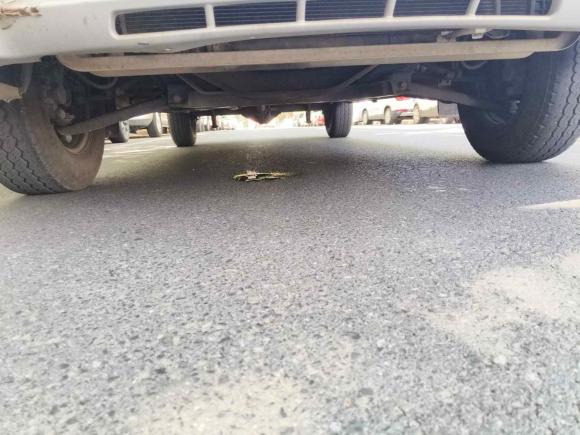 [南昌·赣A] 二手福田图雅诺2021款 2.0T手动通途长轴中顶5/6/7座4F20TC3