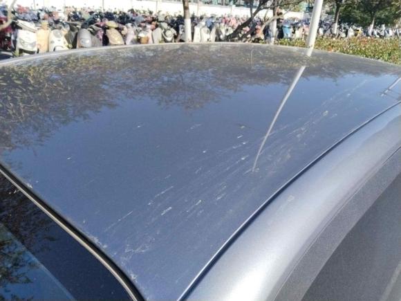 [南京·苏A] 二手零跑汽车零跑T032022款 炫晶版