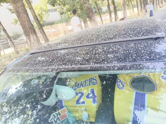 [北京·辽A] 二手奥迪奥迪A32015款 Limousine 40 TFSI 自动舒适型