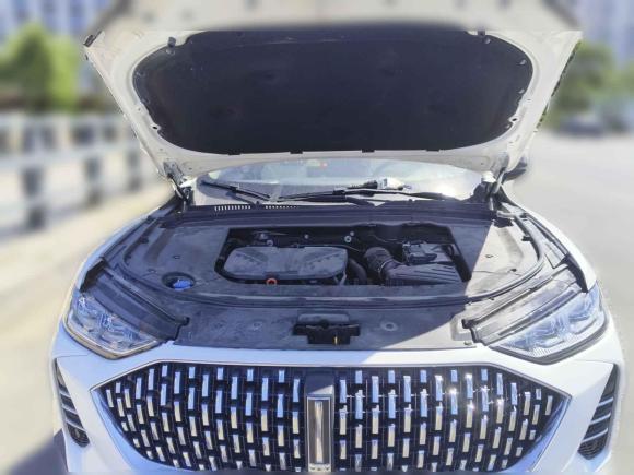 [青岛·鲁B] 二手魏牌魏牌 摩卡2021款 2.0T 两驱特醇版