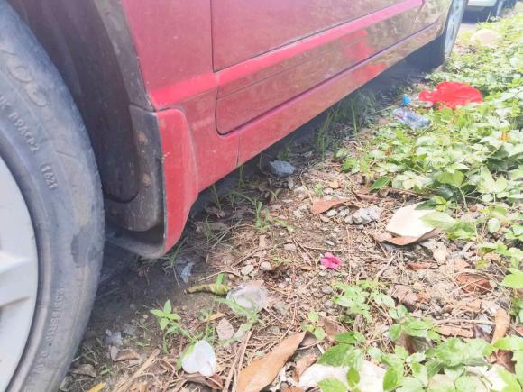 [佛山·桂A] 二手本田思域2009款 1.8L 自动舒适版