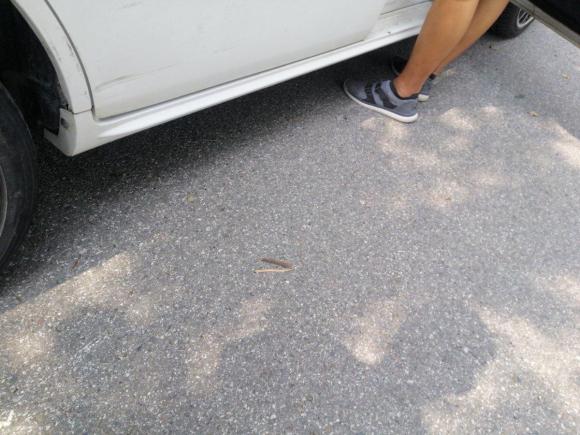 [上海·皖A] 二手力帆汽车轩朗2017款 1.5T 自动舒适型