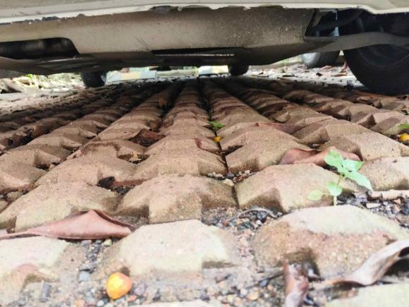 [佛山·粤A] 二手本田飞度2008款 1.3L 自动舒适版