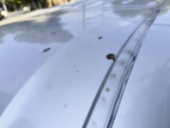 [南昌·赣A] 二手福田图雅诺2021款 2.0T手动通途长轴中顶5/6/7座4F20TC3