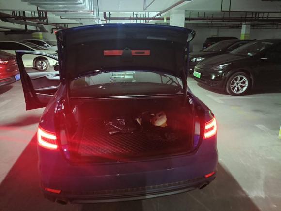 [上海·沪E] 二手奥迪奥迪A4L2018款 30周年年型 40 TFSI 时尚型