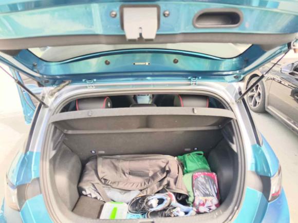 [上海·沪A] 二手比亚迪海豚2021款 401km 骑士版