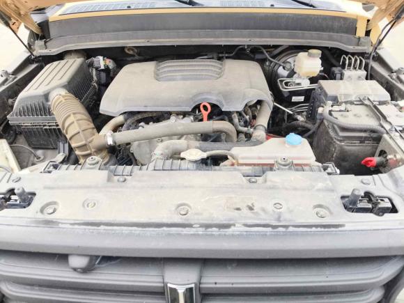 [常州·苏D] 二手坦克坦克3002021款 越野版 2.0T 征服者