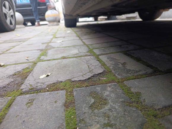 [西安·陕A] 二手本田雅阁2008款 2.0L EX