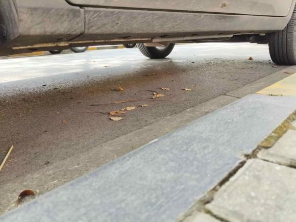 [上海·沪D] 二手福特翼搏2013款 1.5L 自动尊贵型