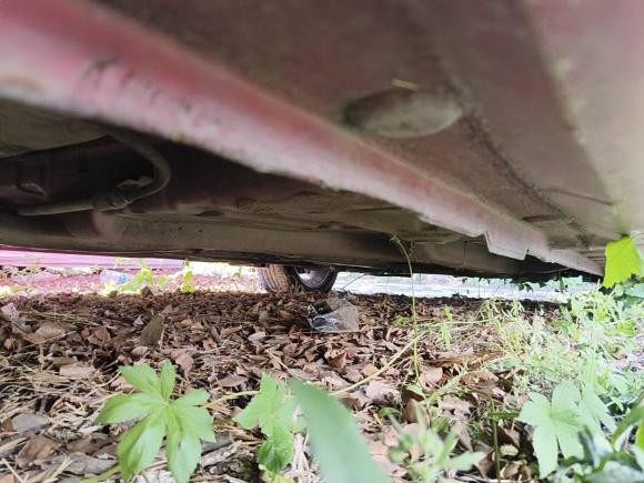 [苏州·苏E] 二手长安逸动DT2018款 1.6L 自动智享型