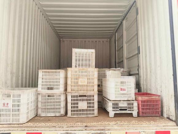 [杭州·浙A] 二手江淮瑞风瑞风M32021款 PLUS 1.8L 2座穿梭版